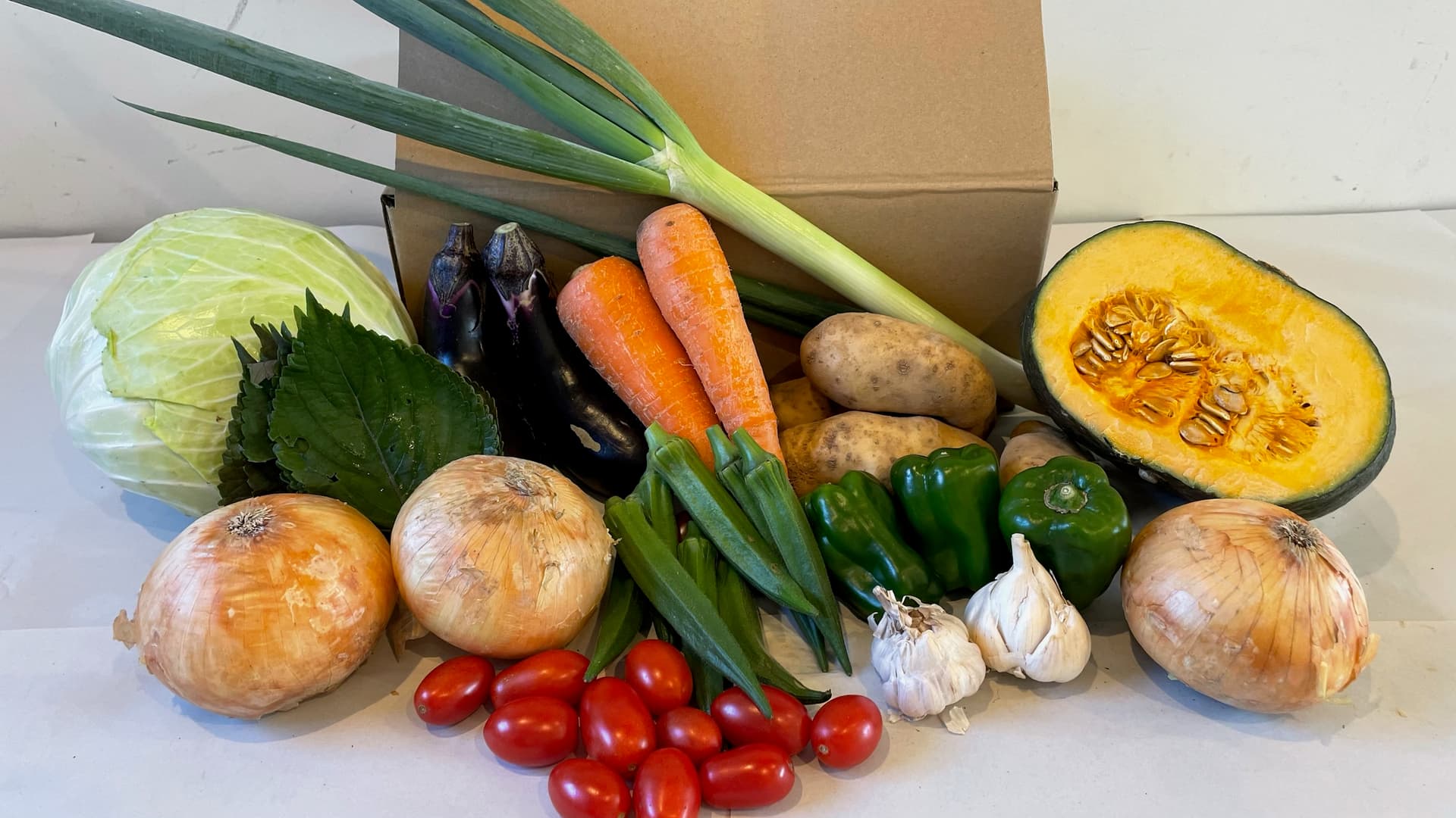 10月のお野菜パック(Mサイズ)