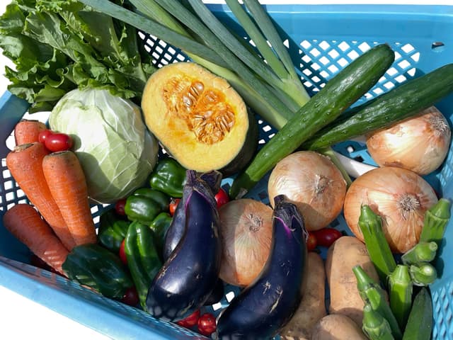 収穫後すぐの新鮮野菜