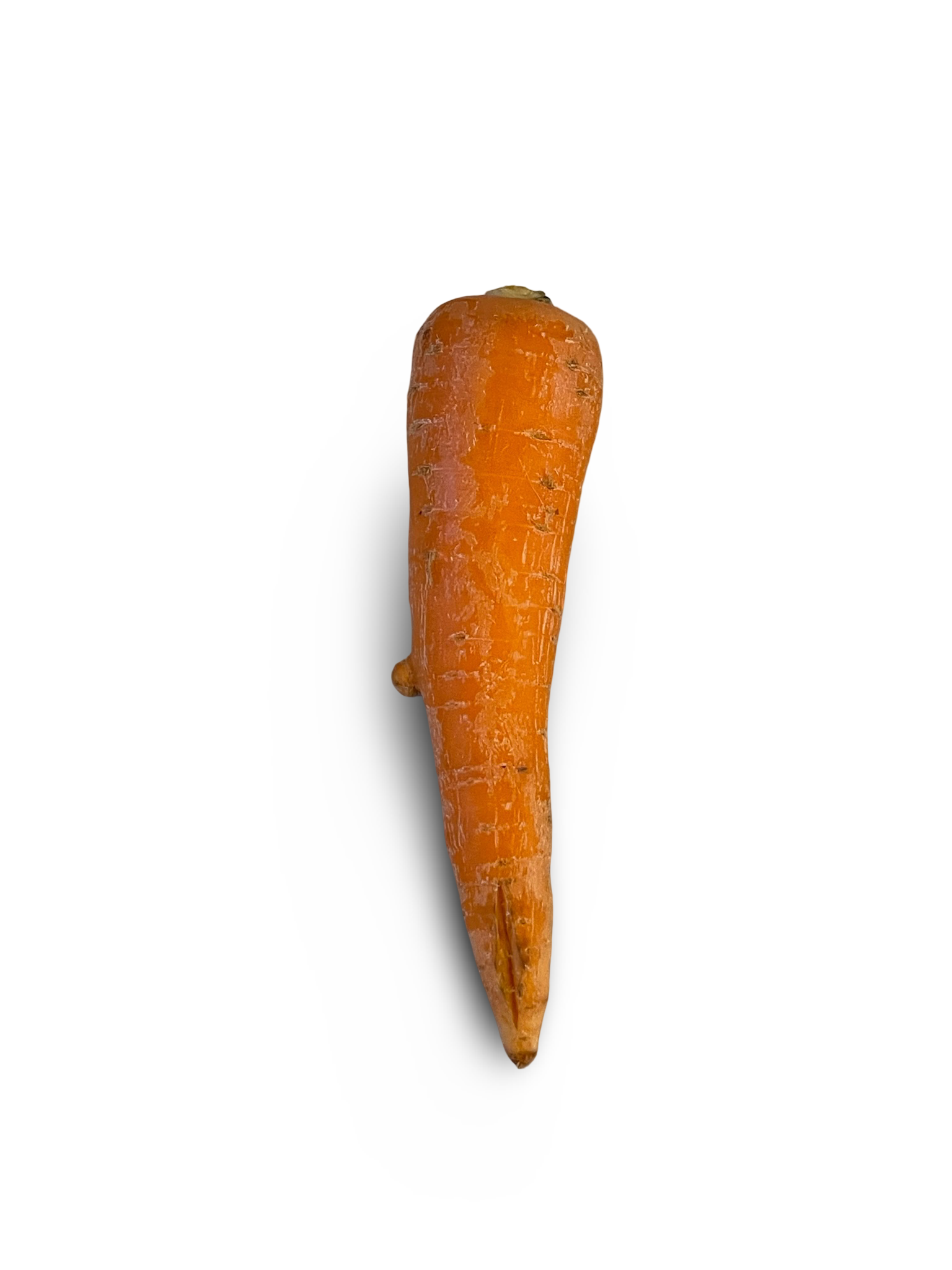 キズがあるの人参