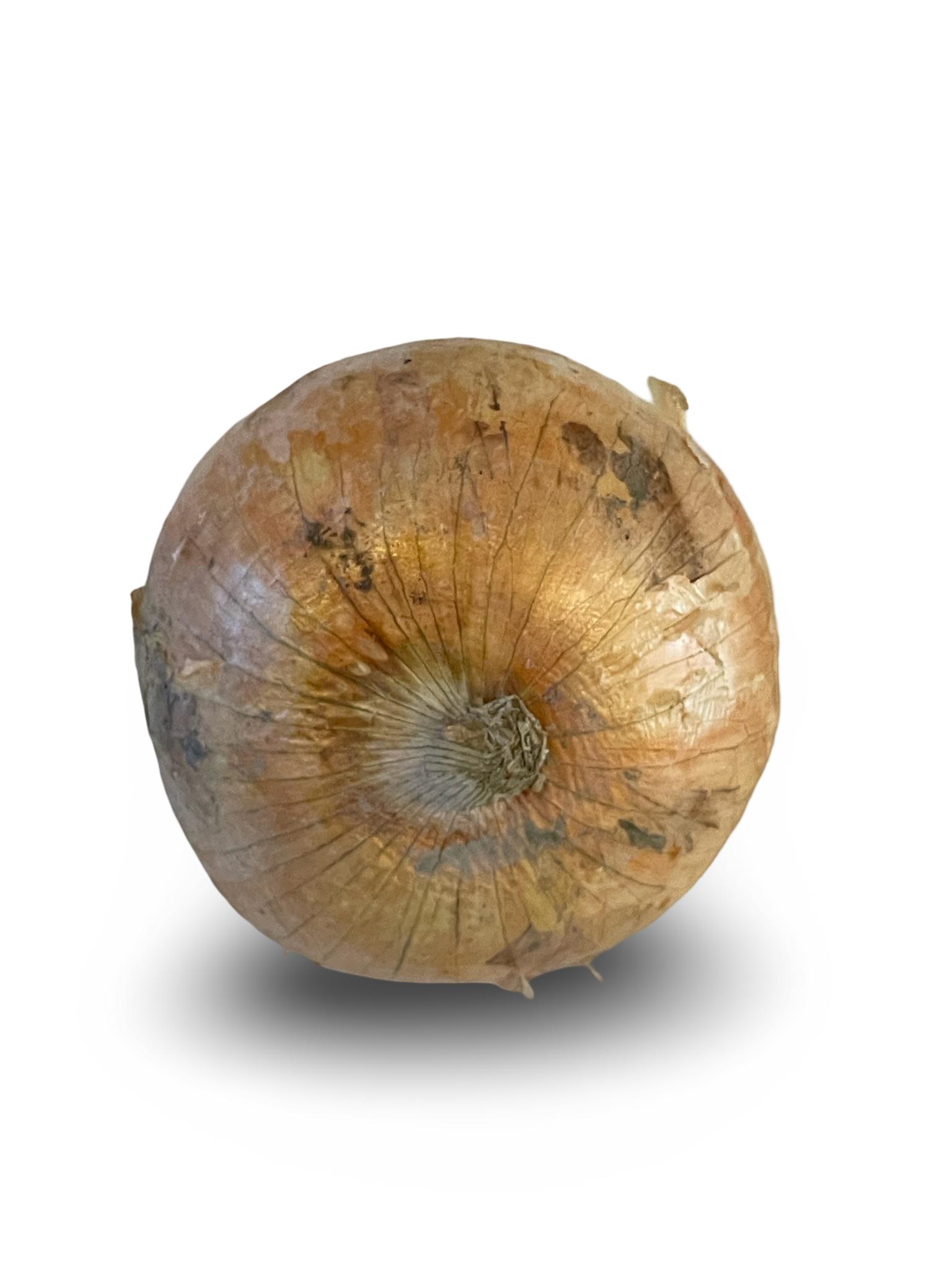 汚れがあるの玉ねぎ